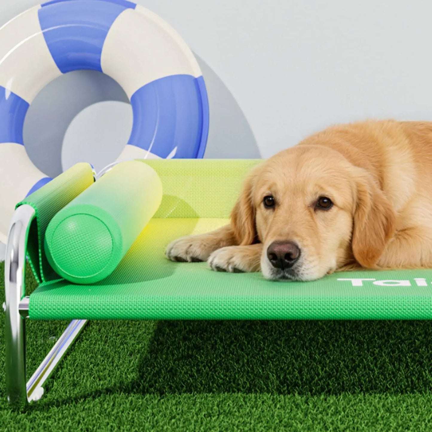 Stainless Steel Dog Bed Washable Elevated Dog Bed Pet Furniture Breathable Moisture Resistant for Large Dogs
