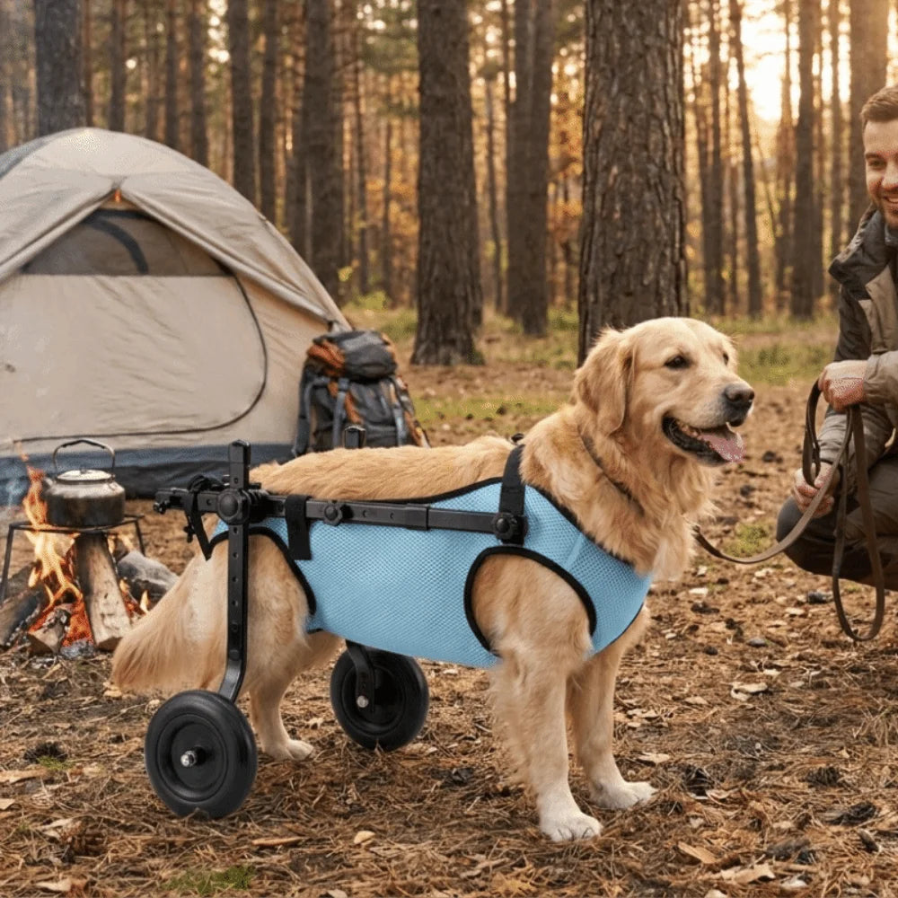 Adjustable Dog Wheelchair Comfortable Hind Leg Support Dog Mobility Scooter Breathable Pet Wheelchair Cart Pets Rehabilitation
