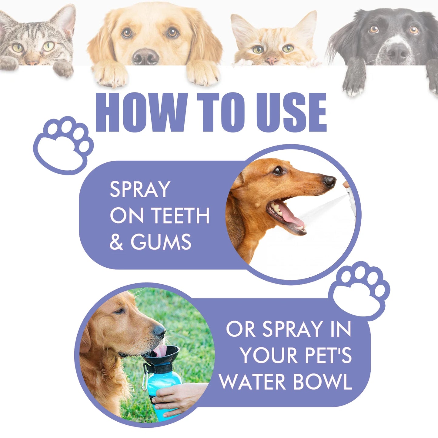 Natural Pet Oral Care Spray For Dog Cats Safe Formula Remove Tartar Prevent Calculus Fresh Breath No Brushing Pets Dental Spray