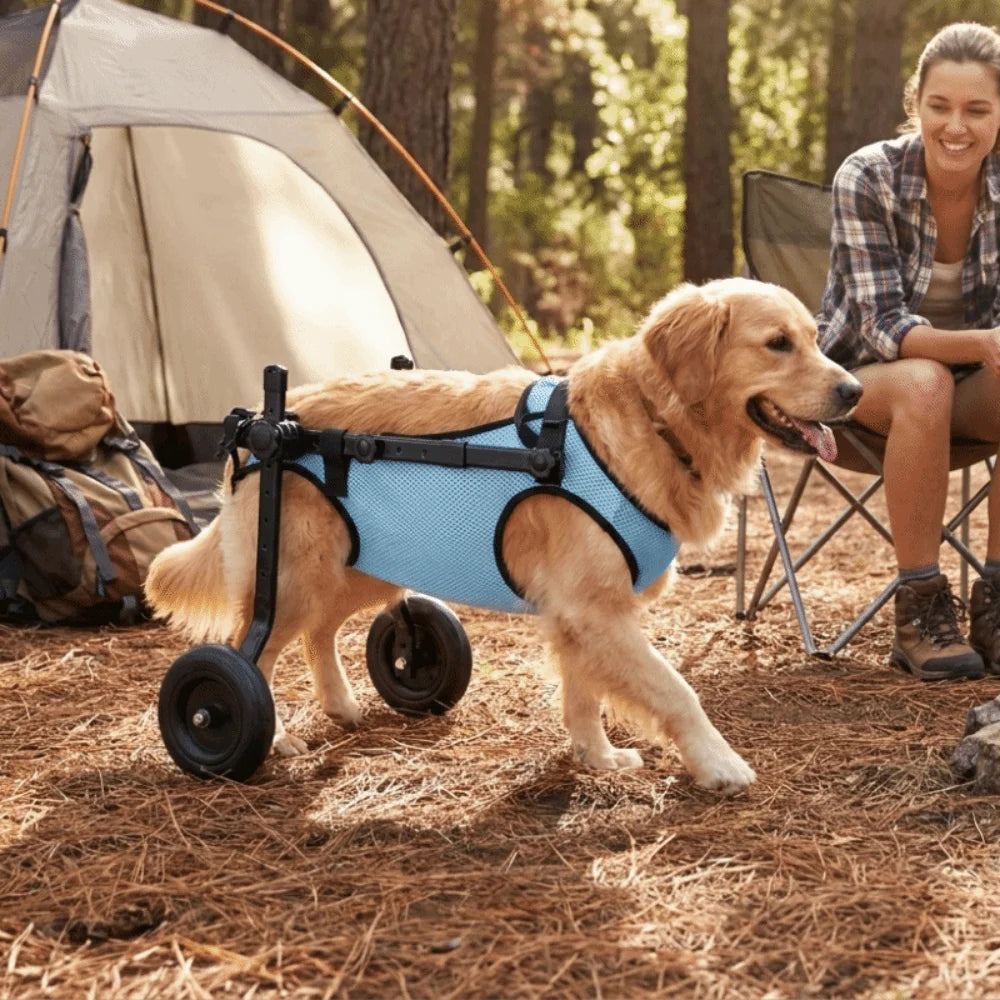 Adjustable Dog Wheelchair Comfortable Hind Leg Support Dog Mobility Scooter Breathable Pet Wheelchair Cart Pets Rehabilitation