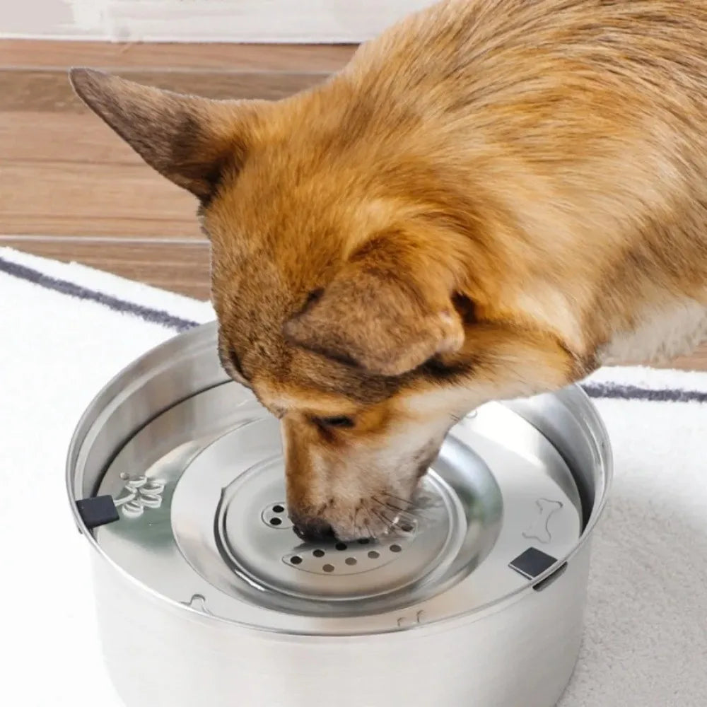 Stainless Steel Dog Water Bowl Anti-Splash Anti-Spill Cat Floating Bowl Portable Non-Slip Base Dog Water Dispenser Pet Drinking