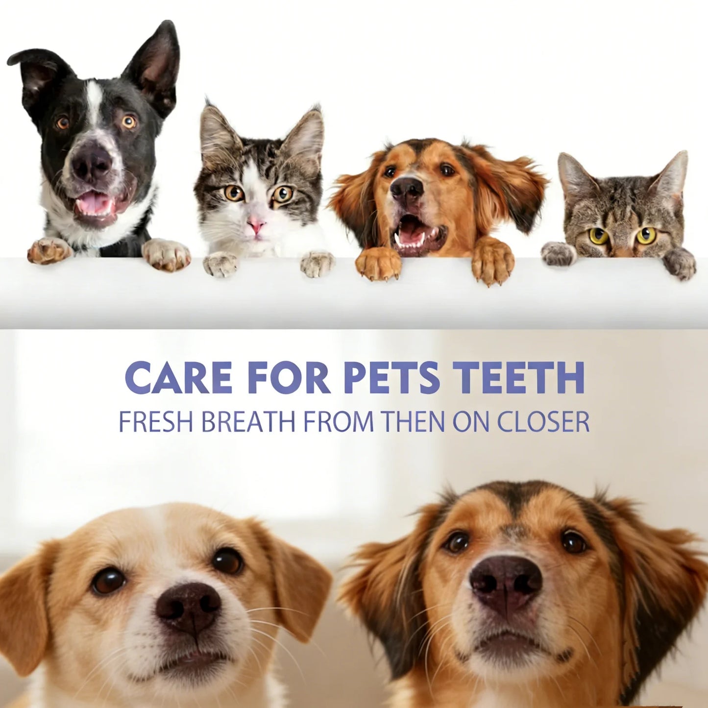 Natural Pet Oral Care Spray For Dog Cats Safe Formula Remove Tartar Prevent Calculus Fresh Breath No Brushing Pets Dental Spray